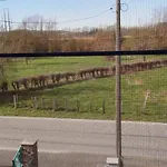 Entre Deux O A Lixhe,vise Belgique Visé