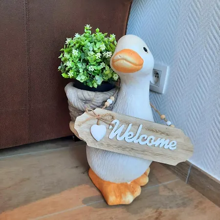 Entre Deux O A Lixhe,vise Belgique *